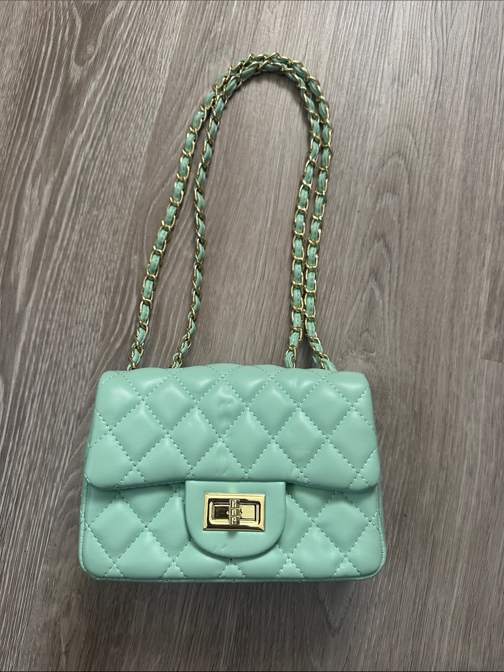 Pastel Green Quilted Leather Bag